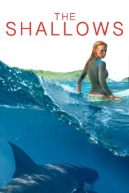 The Shallows